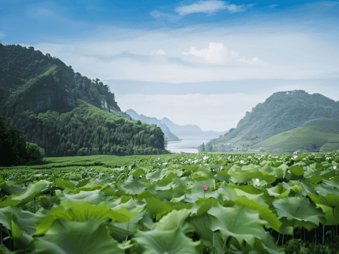 村官怎么入职