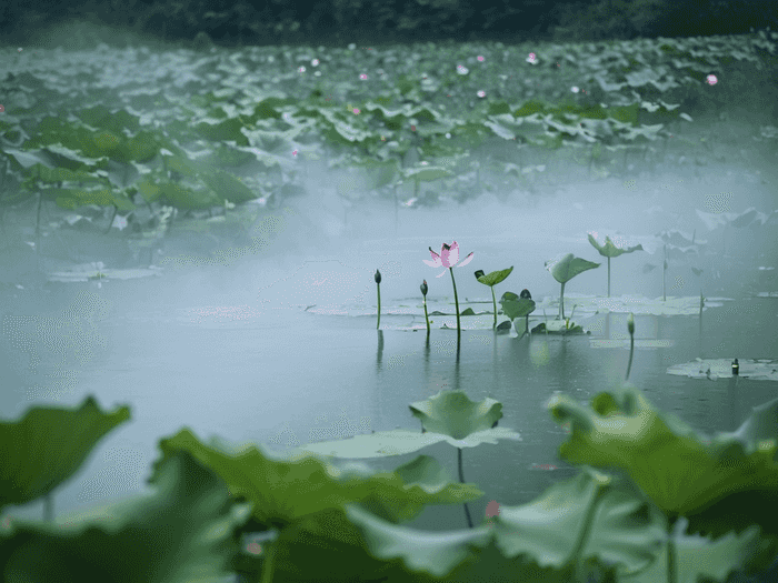 村官在哪里看