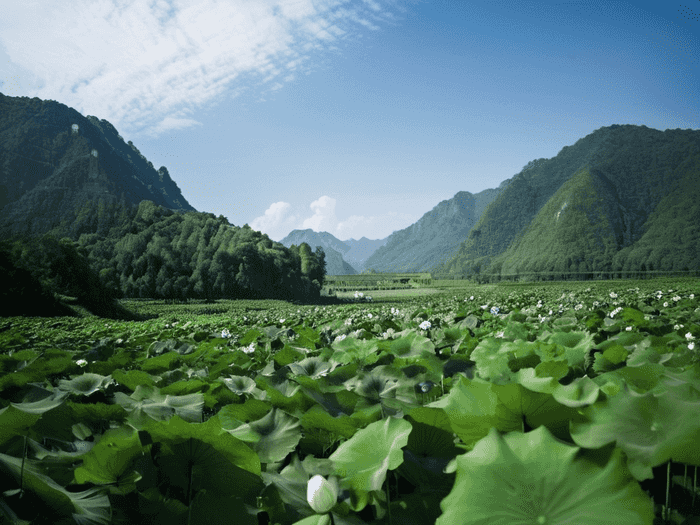 地下车库车道宽度应该怎么设计