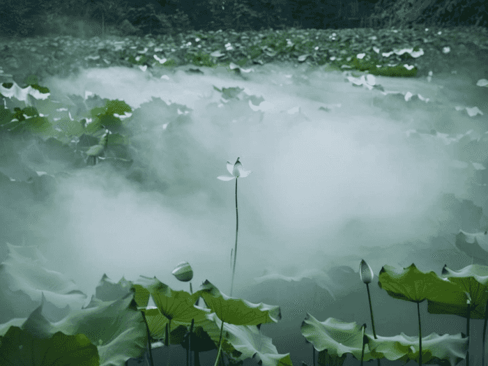 地下室防水方法有哪些