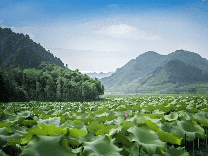 地下连续墙的入土深度需要注意些什么