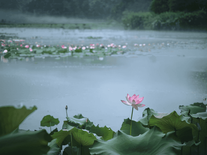 地下室后浇带渗漏怎么办