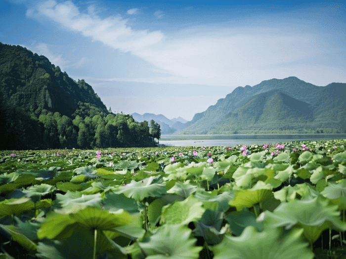 一级建造师怎样备考更高效