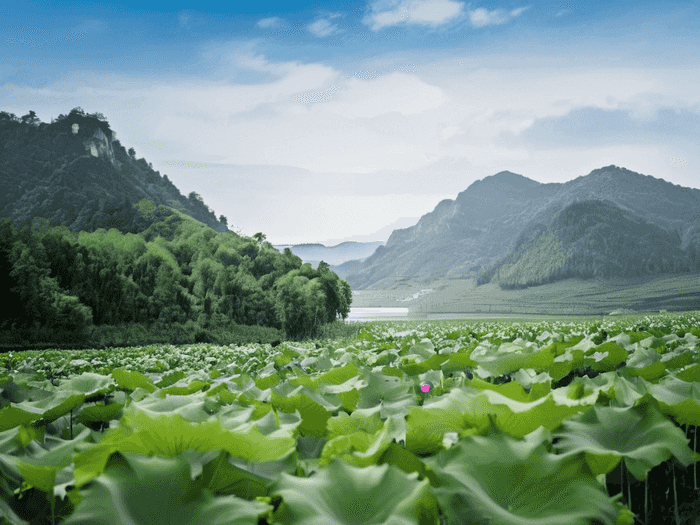 英国本科的艺术留学条件与要求