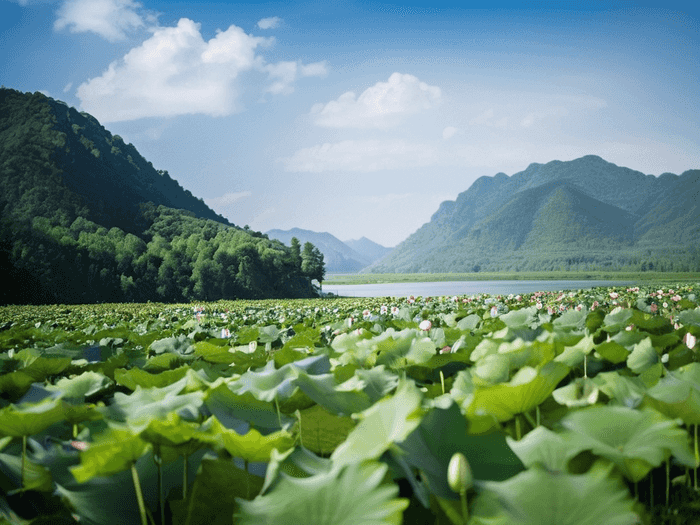 英国普利茅斯大学艺术学院怎么样