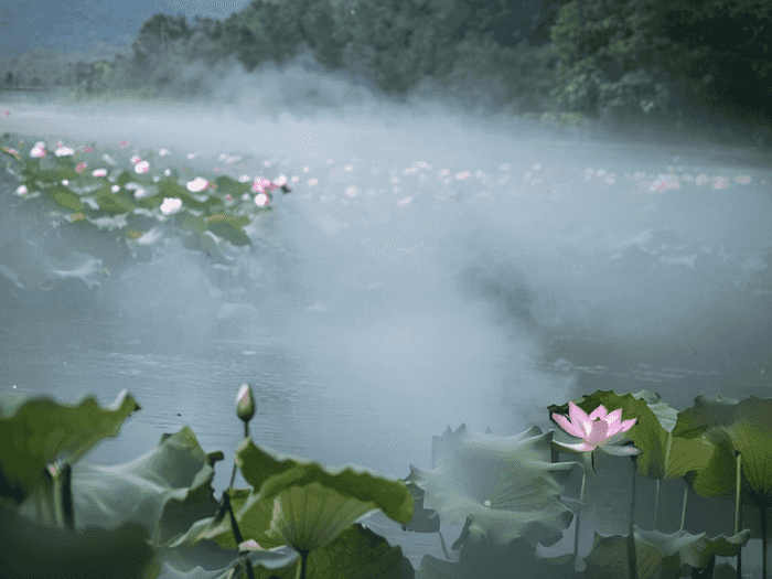 留学澳洲的艺术专业选谁好澳洲六大艺术专业名校向你推荐