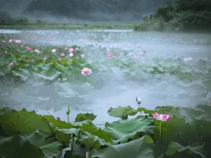 湖南有哪些医科大学