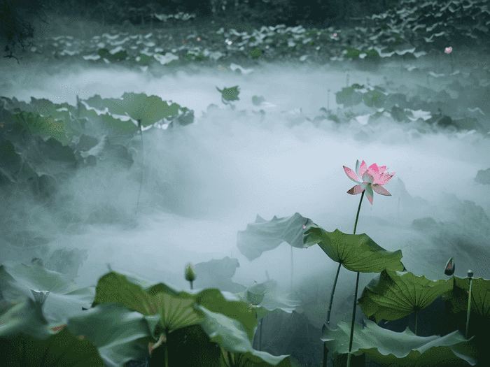 服从调剂是什么意思