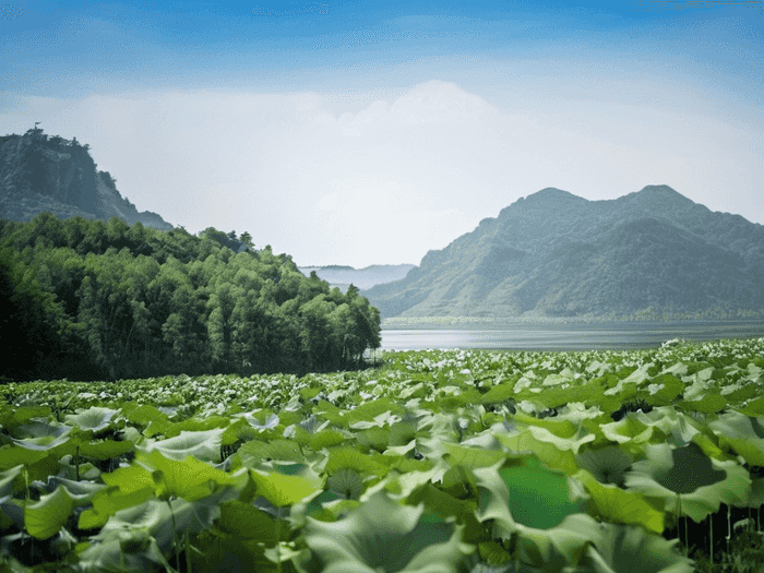 高起本报名需要什么学历