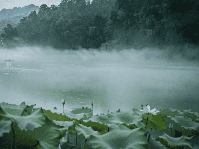 北京师范大学自考好考吗