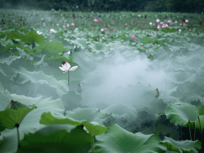 在职研究生怎么考试