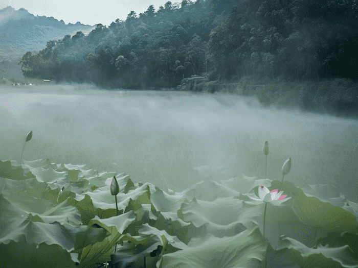 十堰医药卫生学校药剂专业介绍