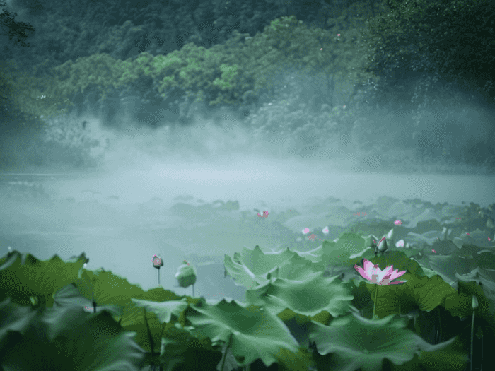 合浦中等职业技术学校旅游服务与管理专业介绍