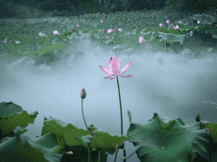 高职高薪专业排名